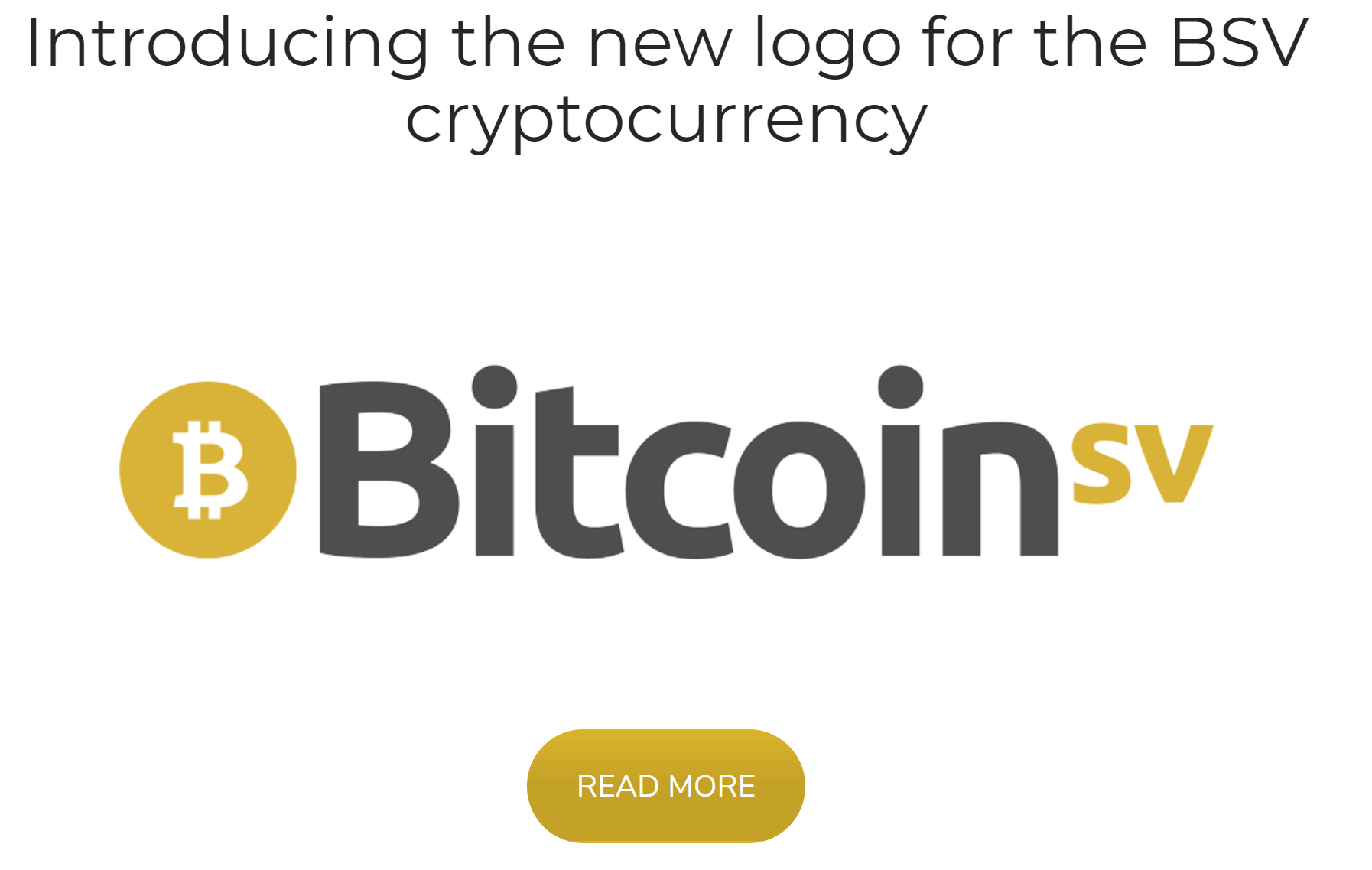 BSV logo homepage