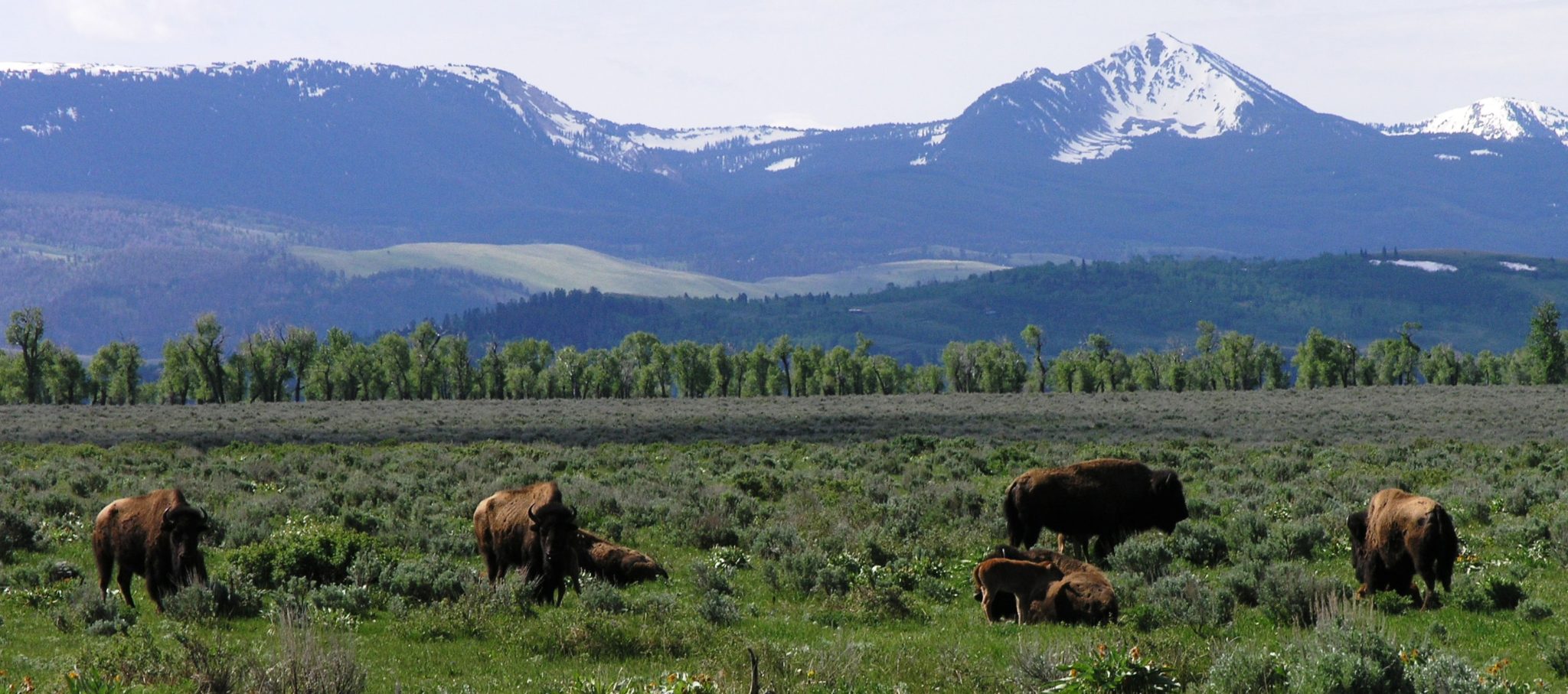 Jackson Hole Wyoming