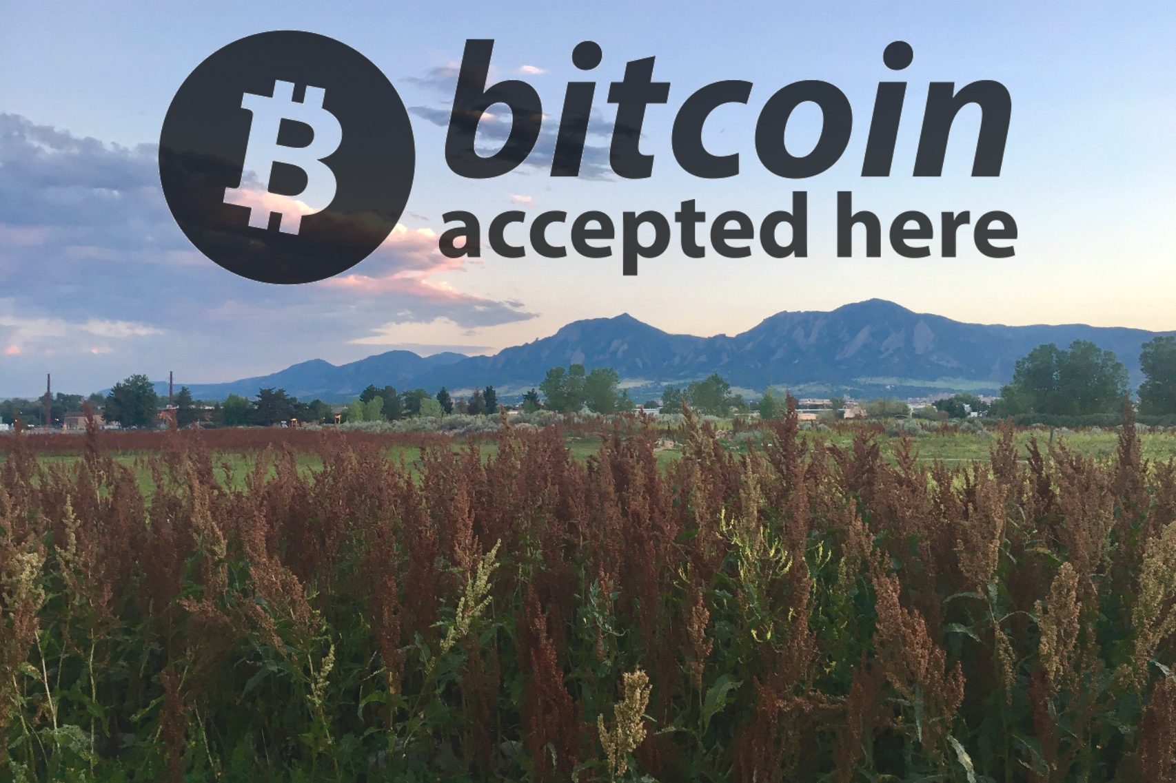 Boulder Bitcoin Helping Hands Herbals